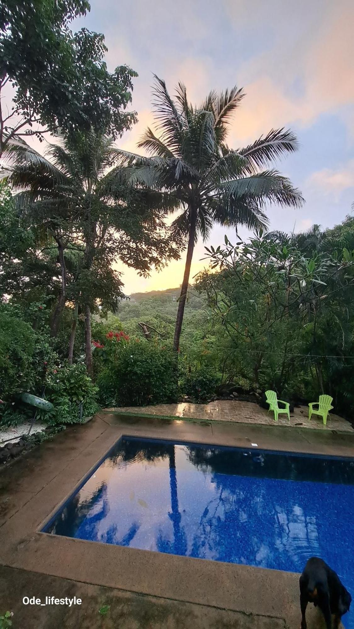 Guesthouse Casa Avi Fauna Playa Ocotal Exterior foto